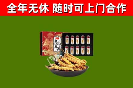 枣阳回收冬虫夏草价格